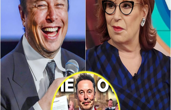 Elon Musk announced that he has acquired The V*ews for $900 million to put an end to the toxic program and release Whoopi Goldberg.