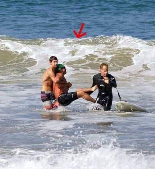 LEGEND GONE: Renowned actor tragically dies today following a fatal shark attack — disturbing footage emerges.