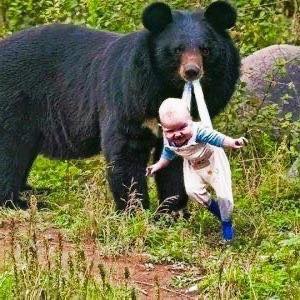 Bear Refuses to Release Baby – What the Ranger Discovers Brings Him to Tears