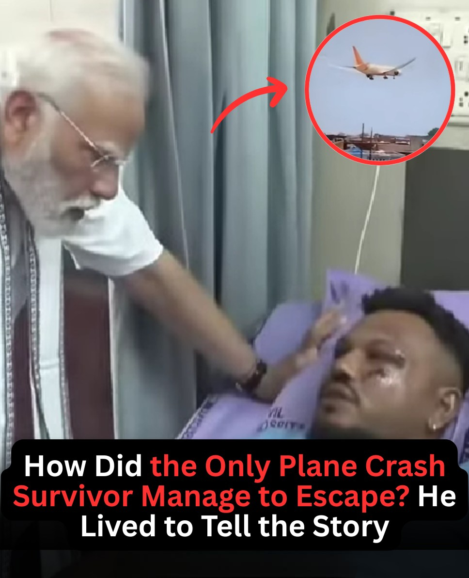How Did the Only Plane Crash Survivor Manage to Escape? He Lived to Tell the Story