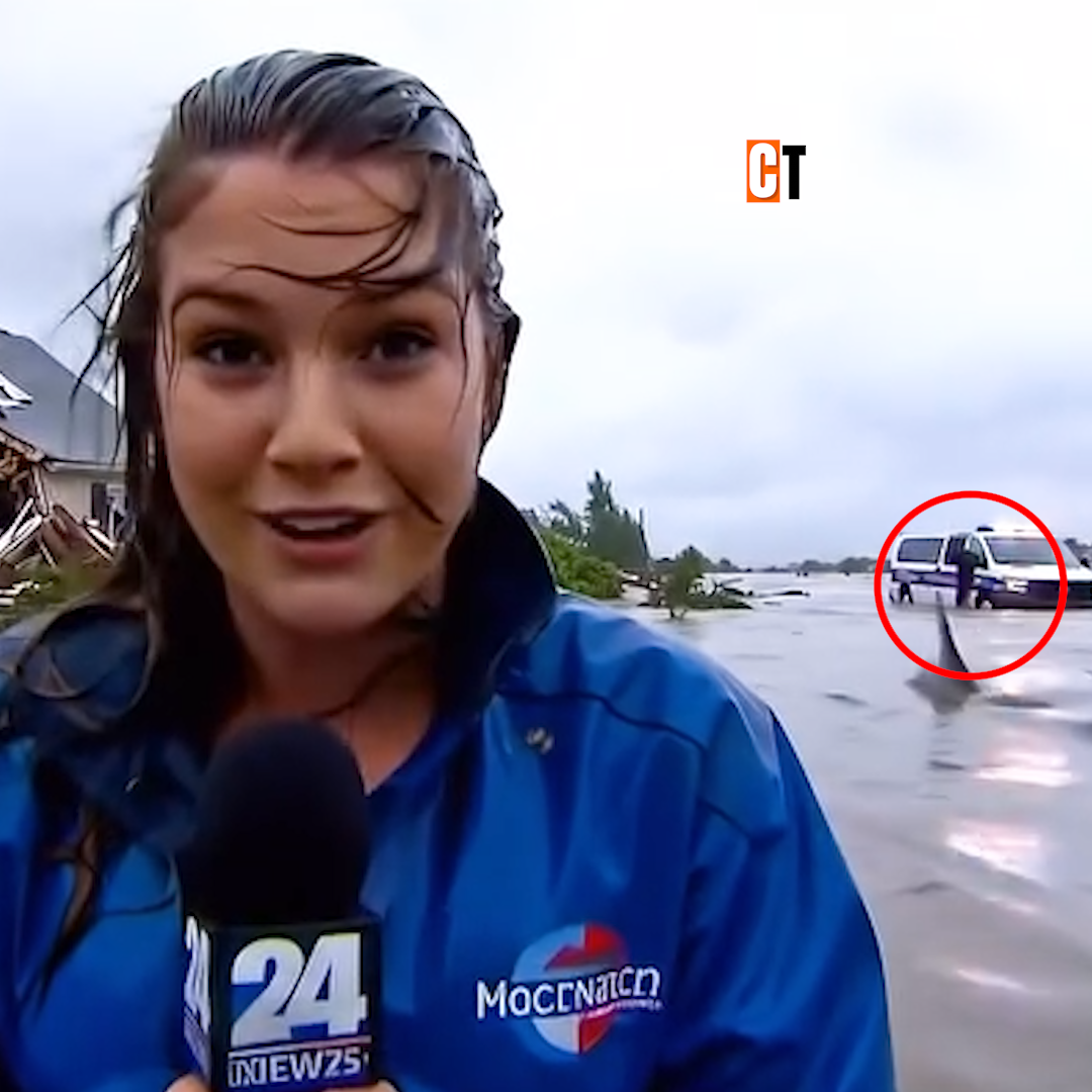 SHOCKING SCENE: Floodwaters Engulf City as Reporter Spots Shark Swimming Through Suburb