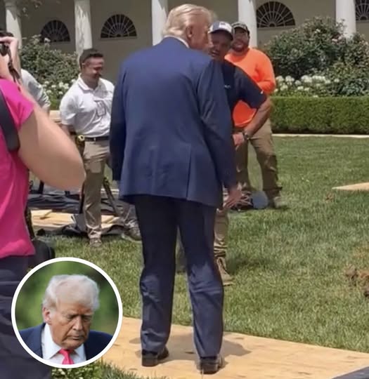 Trump Rose Garden Photo Sparks Buzz After Viewers Spot Odd Detail