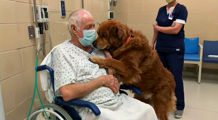 The Patient’s Plea for “Murphy”—A Name That Puzzled Everyone