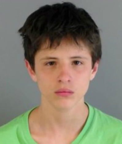 Teen sentenced to life in prison for murder of 10-year-old girl