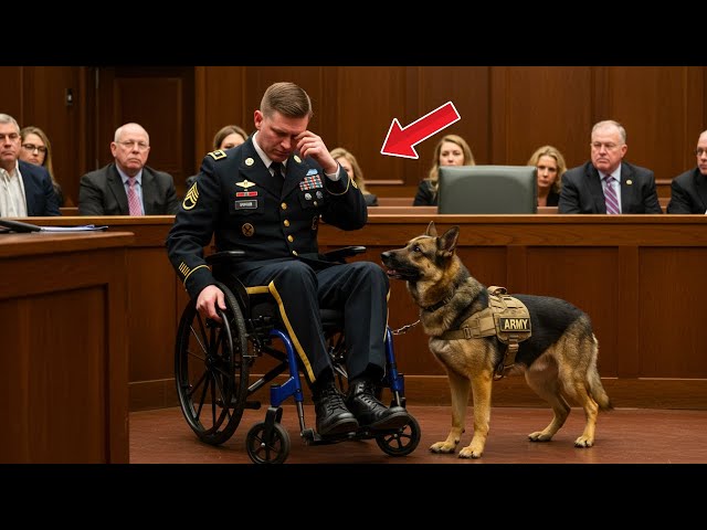 The ex-soldier sought one last goodbye with his dog in court—but what happened next stunned everyone!