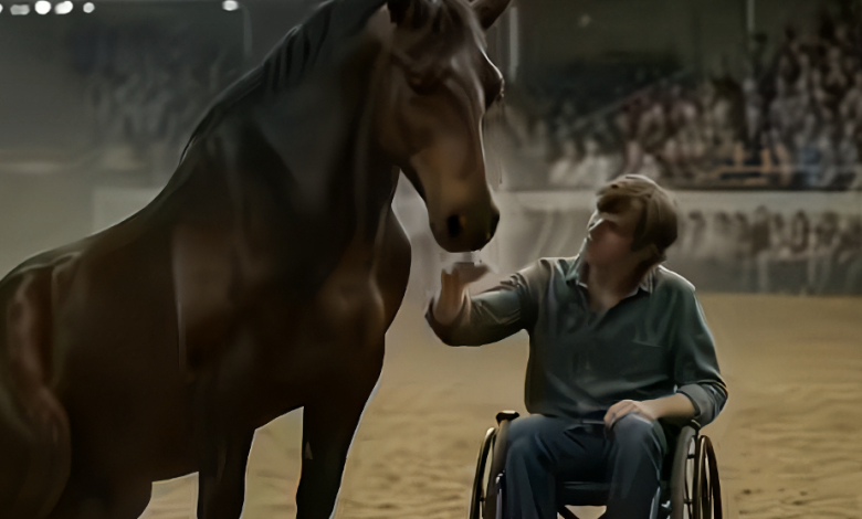 A Paralyzed Teen Wheels Into the Arena — The Wild Stallion’s Response Leaves the Crowd in Tears