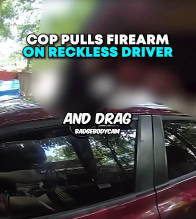 Routine Traffic Stop Turns Into Arrest After Driver Ignores Police Instructions