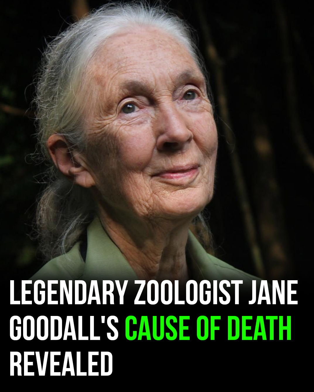 Leonardo DiCaprio Shares His Final Words to Jane Goodall