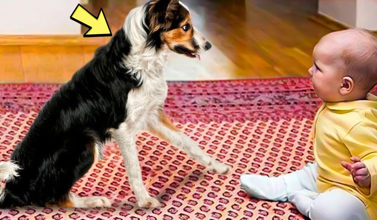 A Father Gave His Paralyzed Son a Puppy. What Happened Next Left Doctors Stunned.