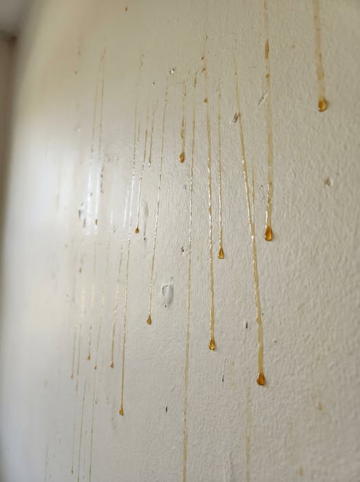 That Yellow Stuff Dripping Down Your Bathroom Walls Could Be A Serious Warning Sign