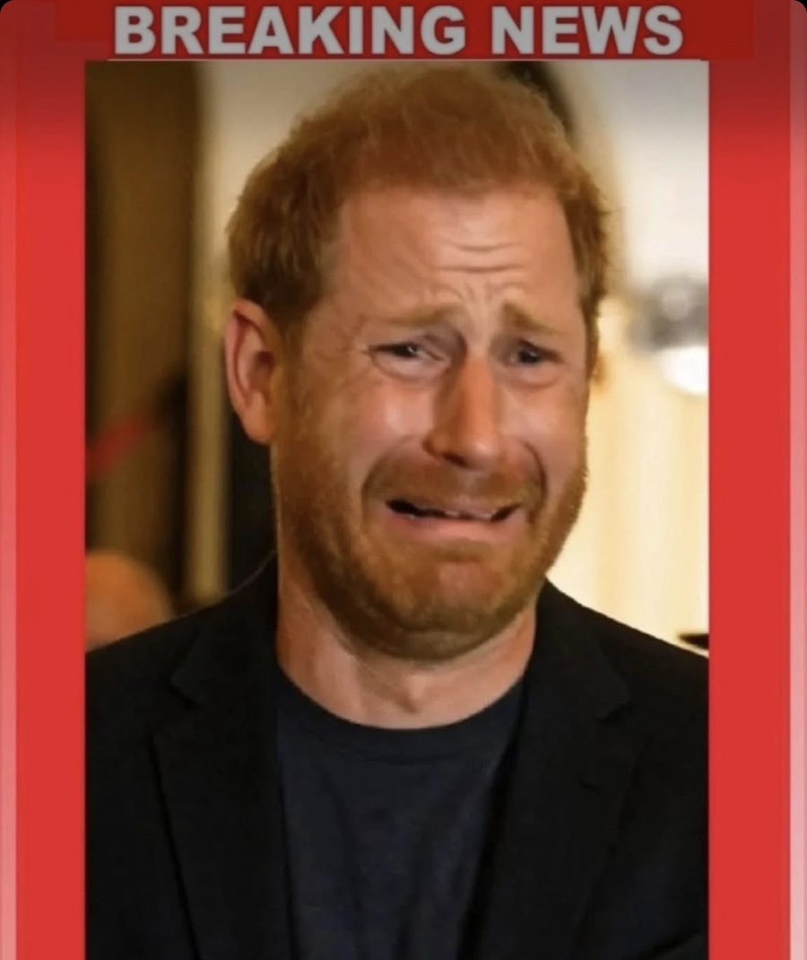 Prince Harry Broke Down in Tears and One Sentence Sparked Fears the Palace Could Not Contain