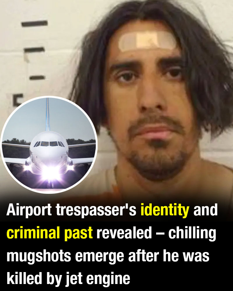 Chilling Details Emerge After Man With Violent Past Dies In Horrific Airport Jet Engine Incident