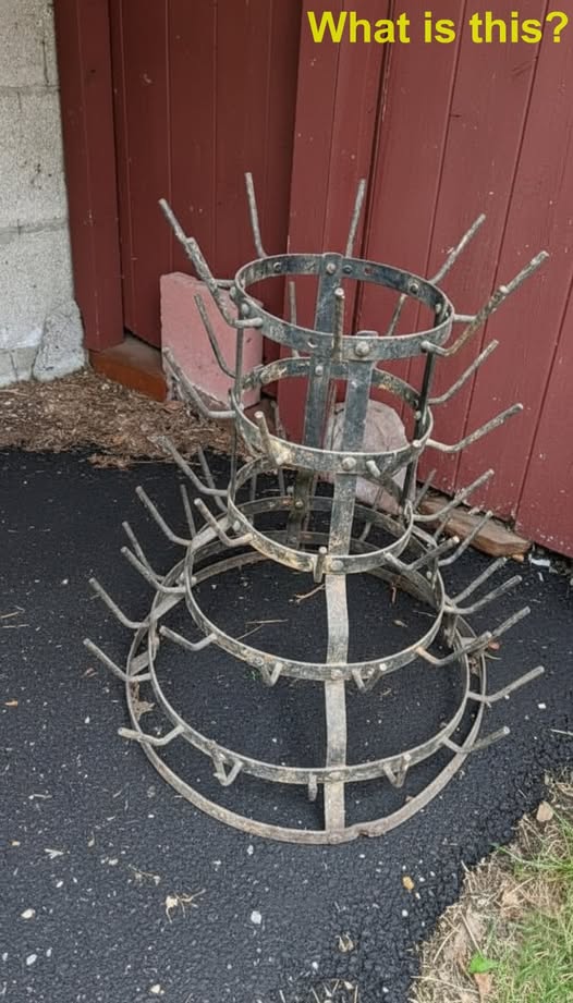 We Found This Strange Rack in a 1907 Home and Its Real Purpose Left Us Speechless