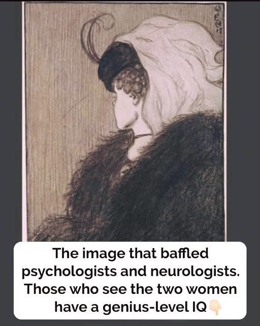 Only Sharp Eyes Can See the Hidden Face Inside This Famous Optical Illusion