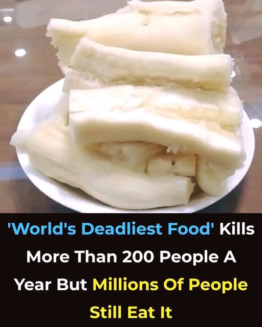 Millions Eat This Food Every Day Yet Few Know It Can Be Dangerous If Prepared Incorrectly