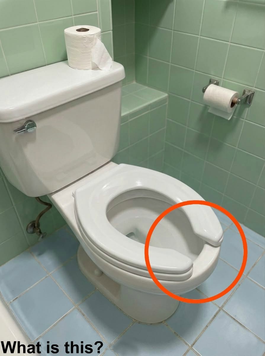 The Strange Toilet Seat Mystery That Made Me Question Everything I Knew About Everyday Objects