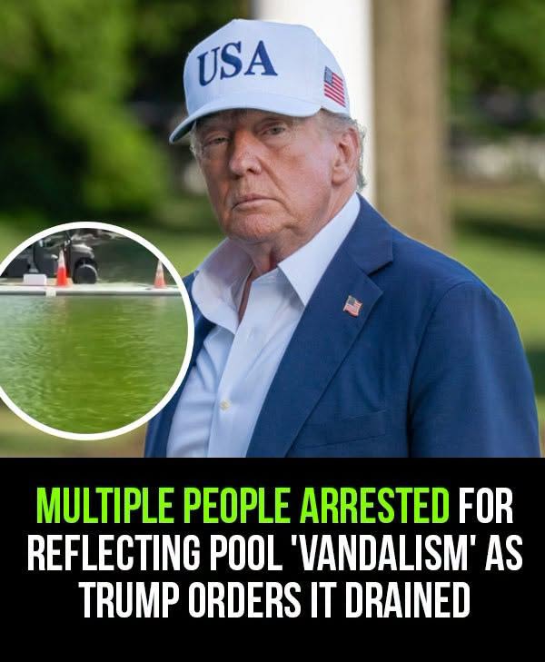 Arrests Over Reflecting Pool “Vandalism” Spark Outrage as 67-Year-Old Cyclist Becomes Unlikely Symbol of a Growing Political Storm