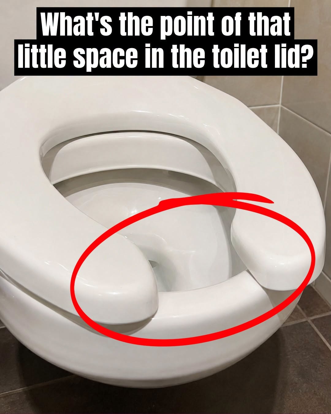 The Surprising Reason Public Toilets Have U Shaped Seats That Almost Nobody Knows