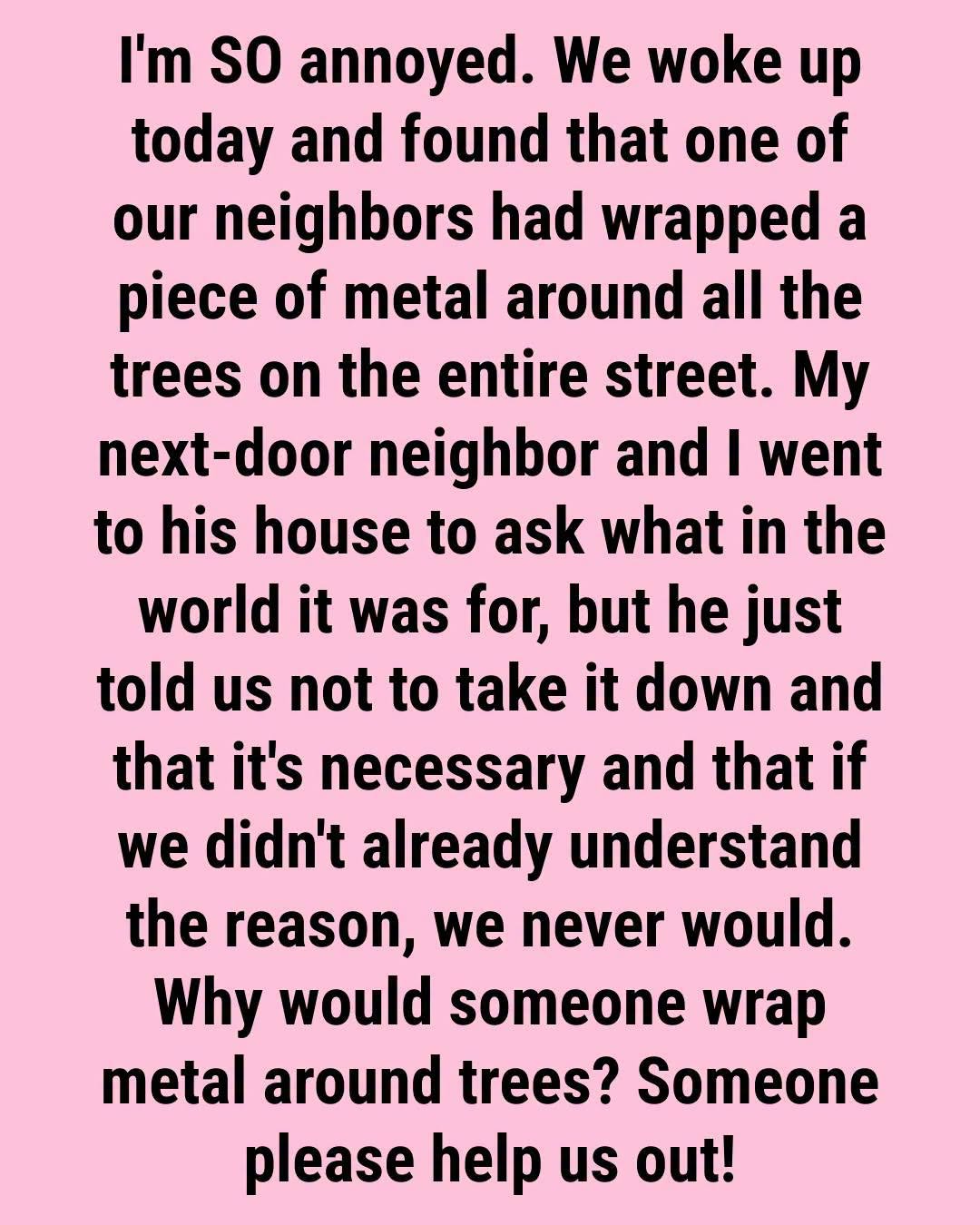 The Real Reason Some Trees Have Metal Wrapped Around Their Trunks