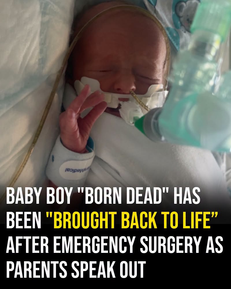 “Born Without a Heartbeat”: Parents’ Emotional Journey as Baby Boy Is Brought Back After Emergency Surgery
