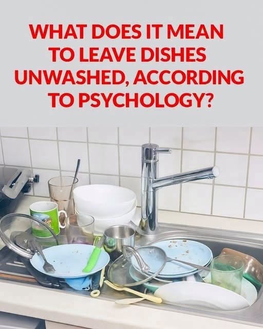 What Your Dirty Dishes Might Be Trying to Tell You About Your Mind