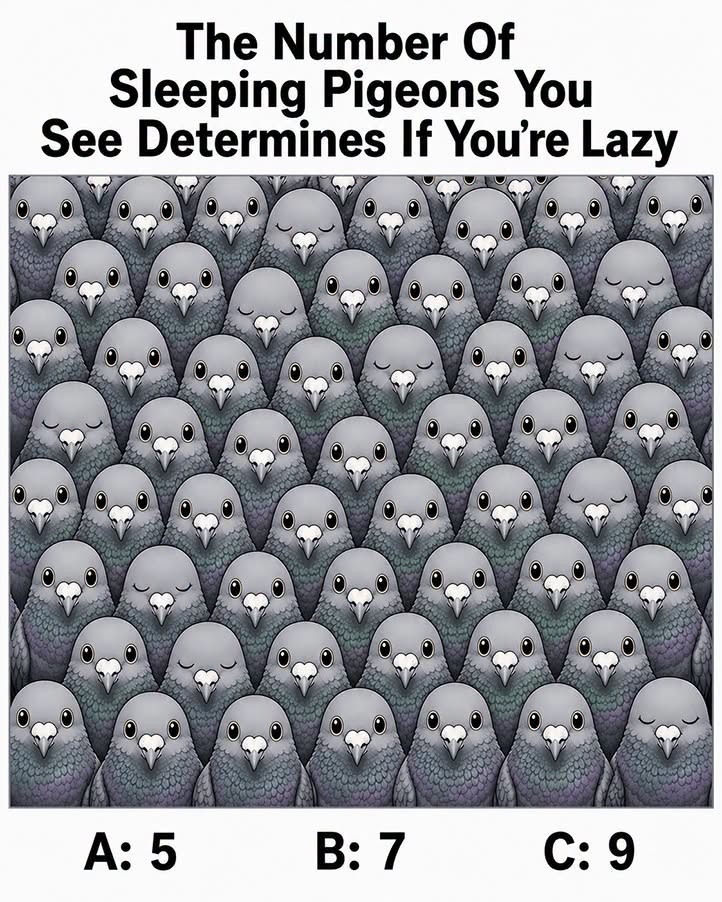 The Number Of Sleeping Pigeons You Notice Could Reveal More About Your Personality Than You Think