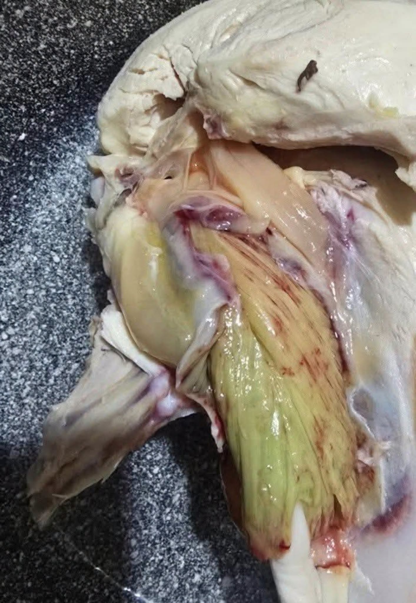 Found Green Inside Your Chicken Before Cooking Here Is What It Really Means