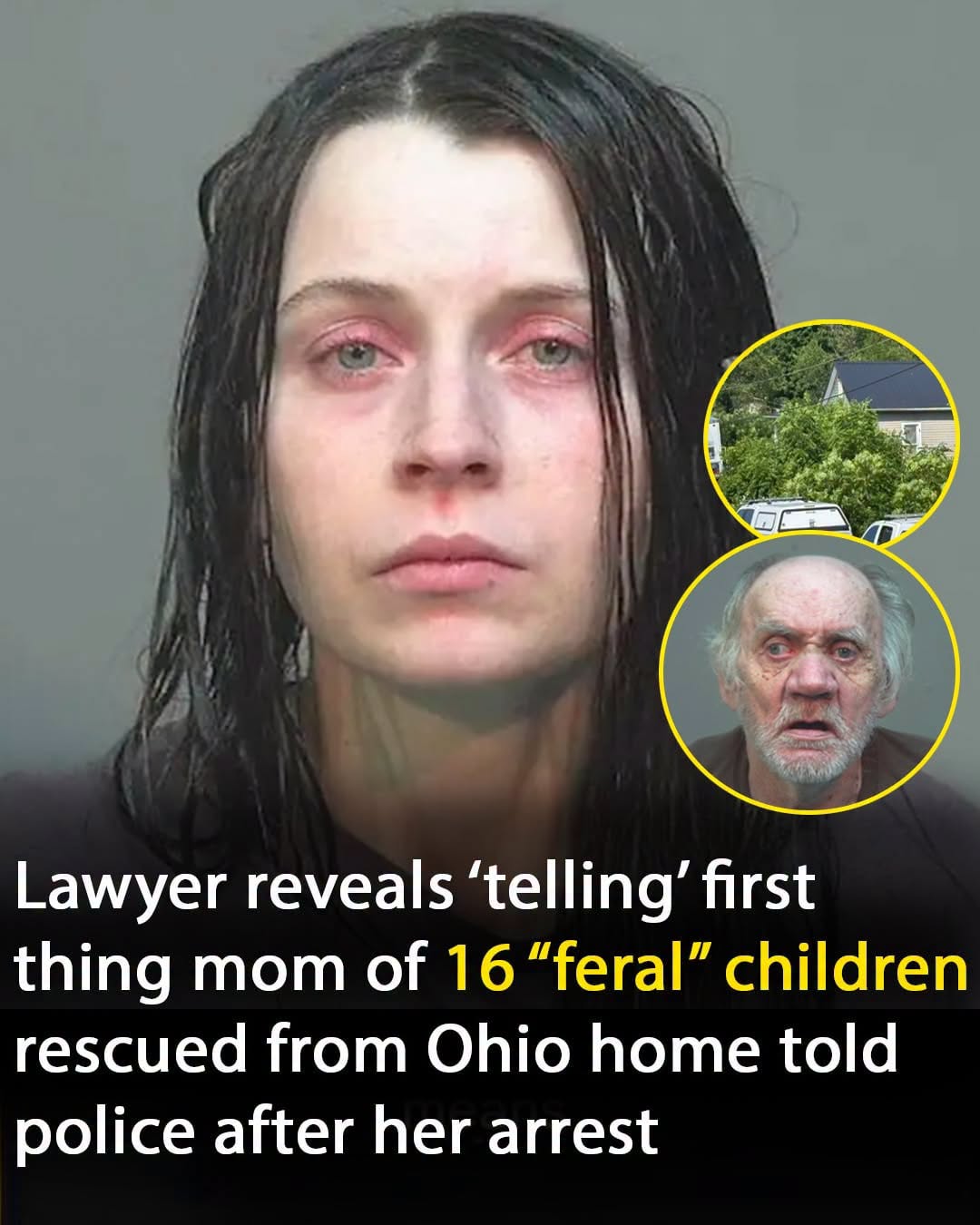 Lawyer Reveals The First Heartbreaking Words Mother Of 16 Ohio Children Spoke After Arrest