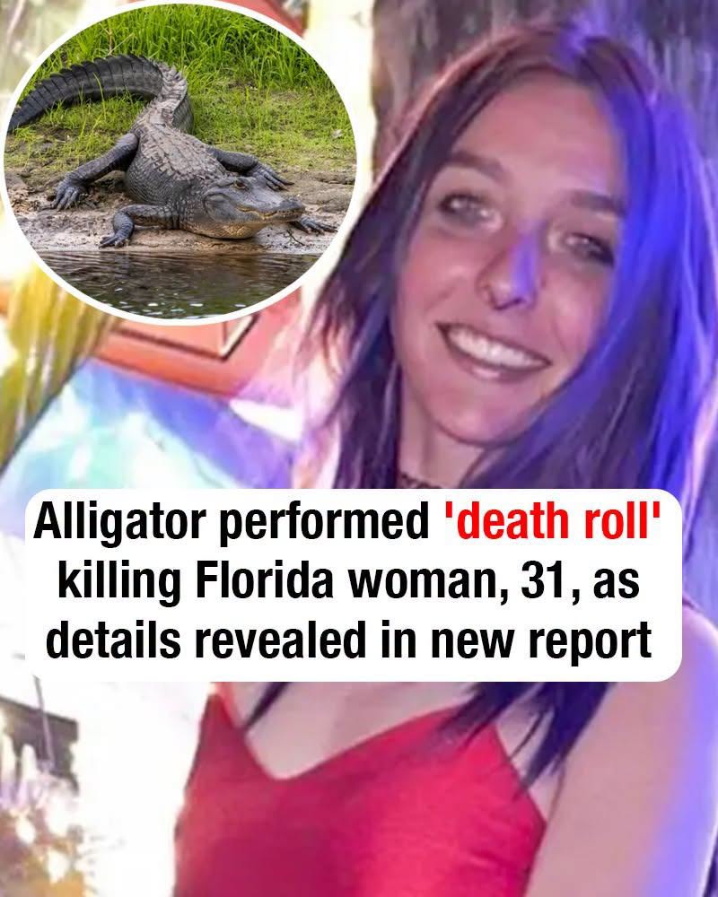 Florida Woman’s Final Moments Revealed After Alligator Attack Turns Into a Heartbreaking Tragedy